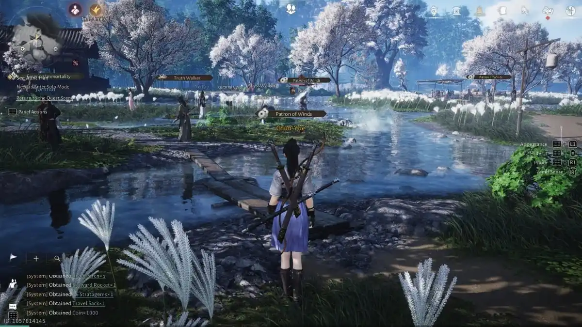 where winds meet online gameplay