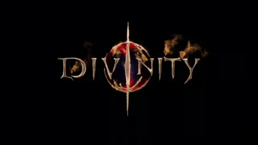 Divinity Larian Studios