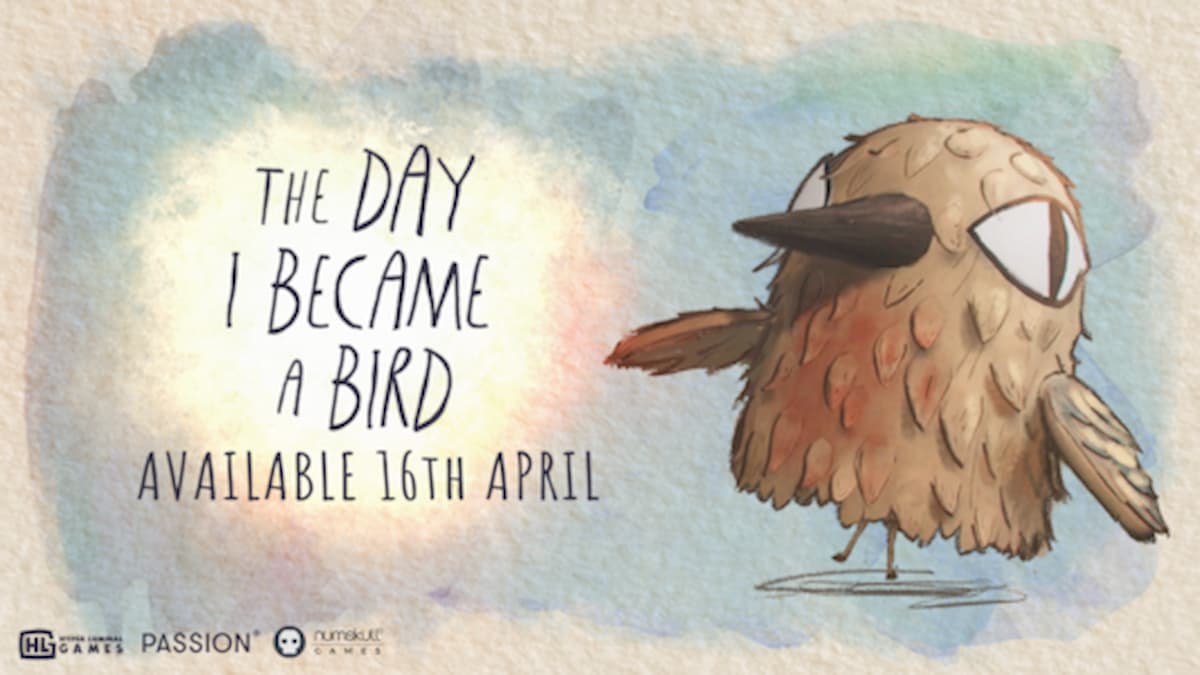 the day i became a bird joc