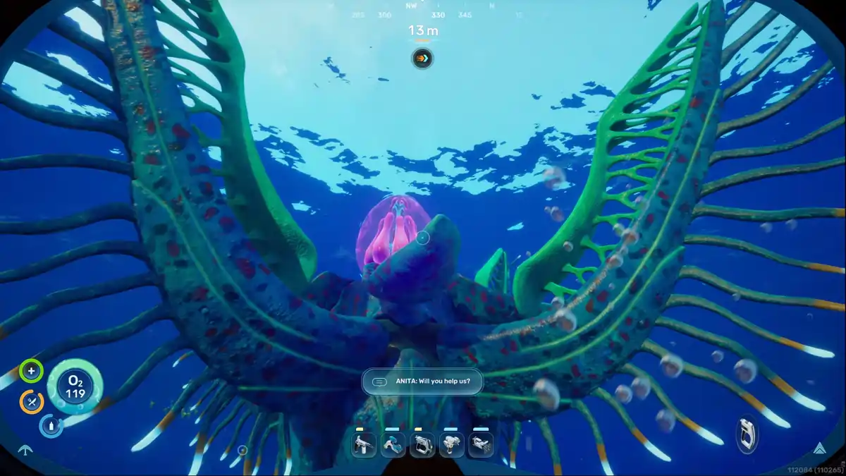 Angel Comb subnautica 2